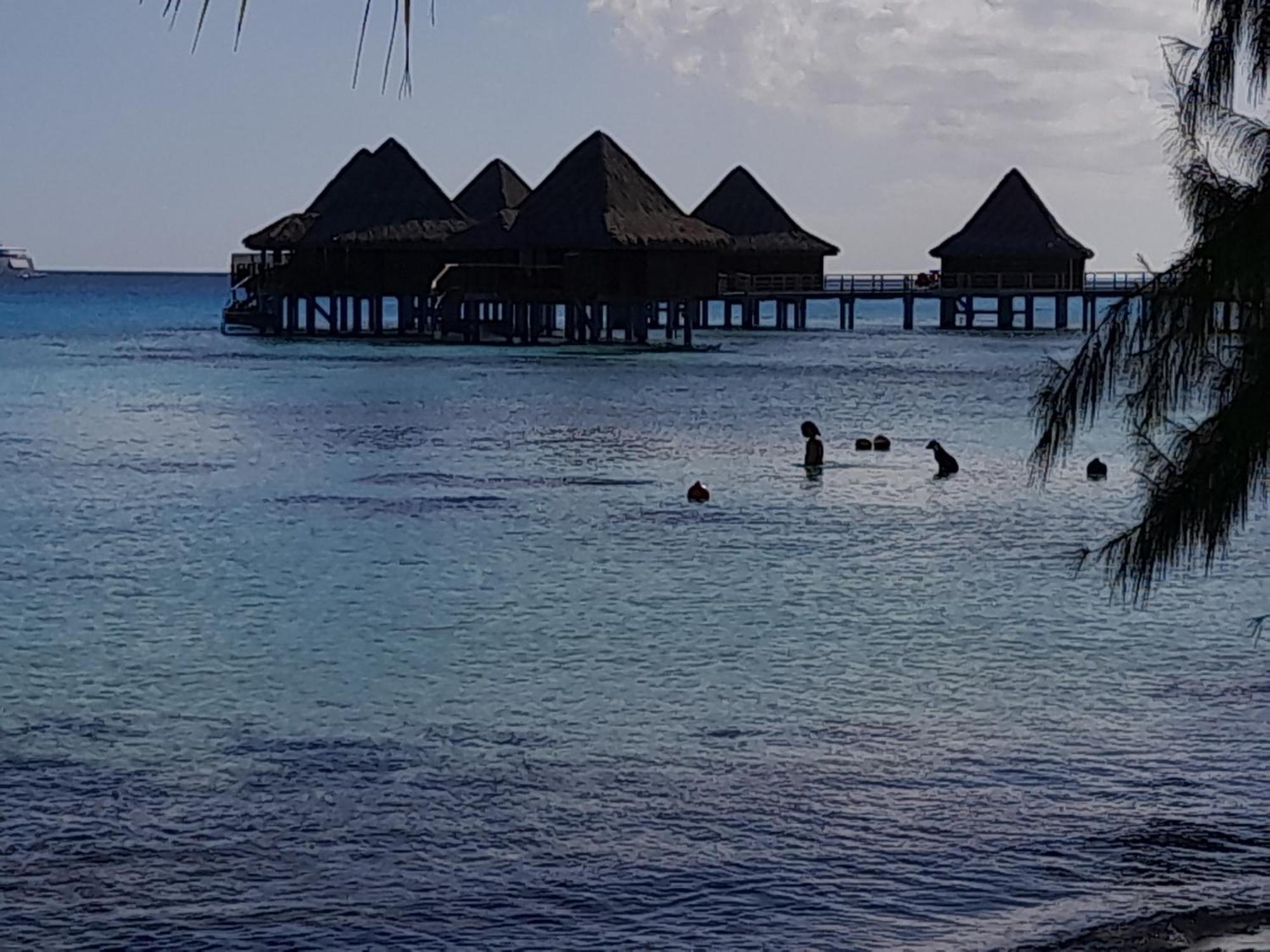 Hinamoe Lodge Avatoru Exteriér fotografie